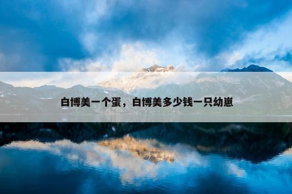 白博美一个蛋，白博美多少钱一只幼崽