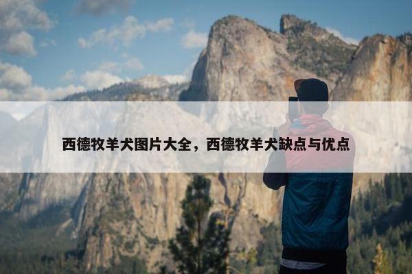 西德牧羊犬图片大全，西德牧羊犬缺点与优点