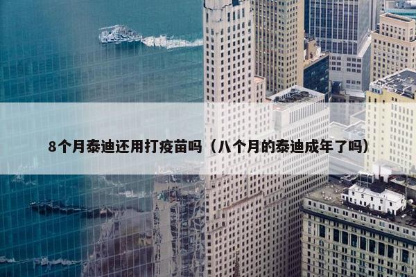 8个月泰迪还用打疫苗吗（八个月的泰迪成年了吗）
