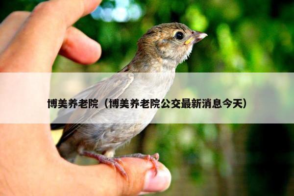 博美养老院（博美养老院公交最新消息今天）