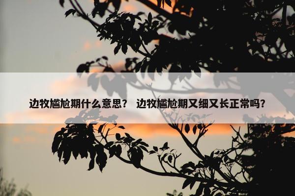 边牧尴尬期什么意思？ 边牧尴尬期又细又长正常吗？