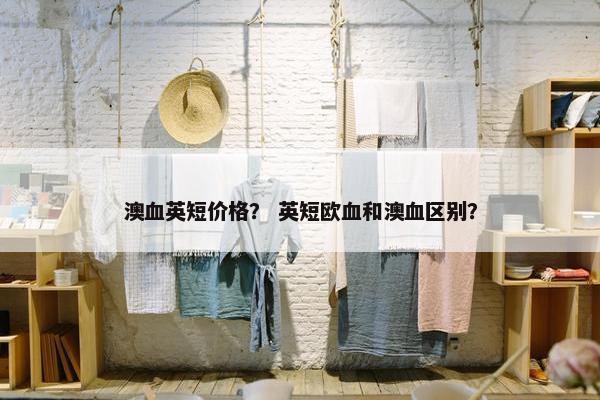 澳血英短价格？ 英短欧血和澳血区别？