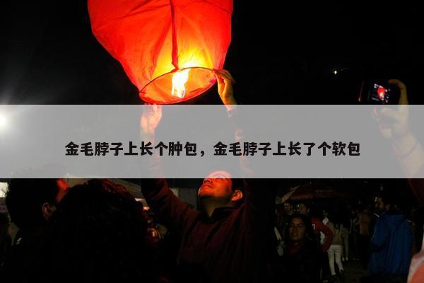 金毛脖子上长个肿包，金毛脖子上长了个软包