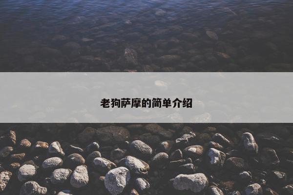 老狗萨摩的简单介绍