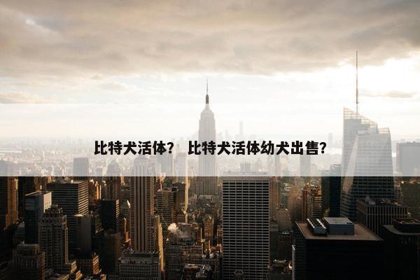 比特犬活体？ 比特犬活体幼犬出售？