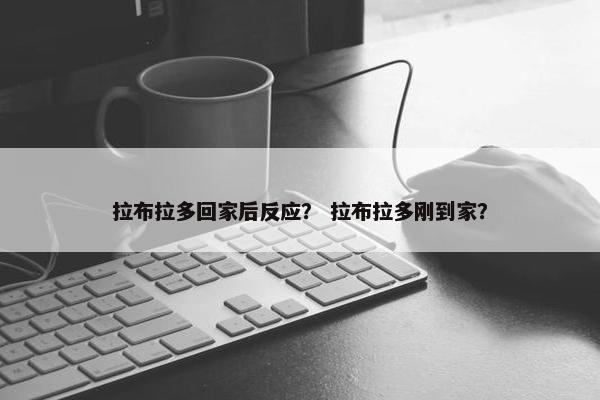 拉布拉多回家后反应？ 拉布拉多刚到家？
