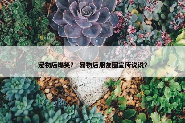 宠物店爆笑？ 宠物店朋友圈宣传说说？