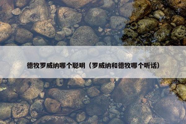 德牧罗威纳哪个聪明（罗威纳和德牧哪个听话）