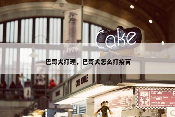 巴哥犬打理，巴哥犬怎么打疫苗