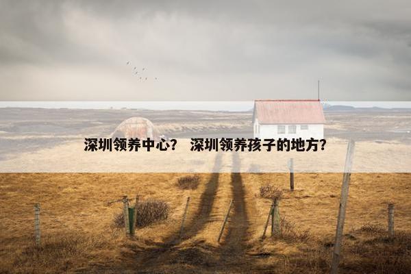 深圳领养中心？ 深圳领养孩子的地方？