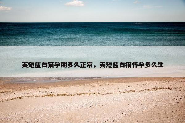 英短蓝白猫孕期多久正常，英短蓝白猫怀孕多久生