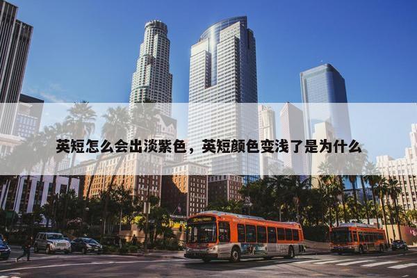 英短怎么会出淡紫色，英短颜色变浅了是为什么