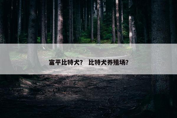 富平比特犬？ 比特犬养殖场？