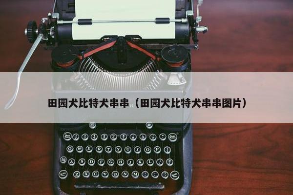 田园犬比特犬串串（田园犬比特犬串串图片）