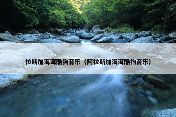 拉斯加海湾酷狗音乐（阿拉斯加海湾酷狗音乐）