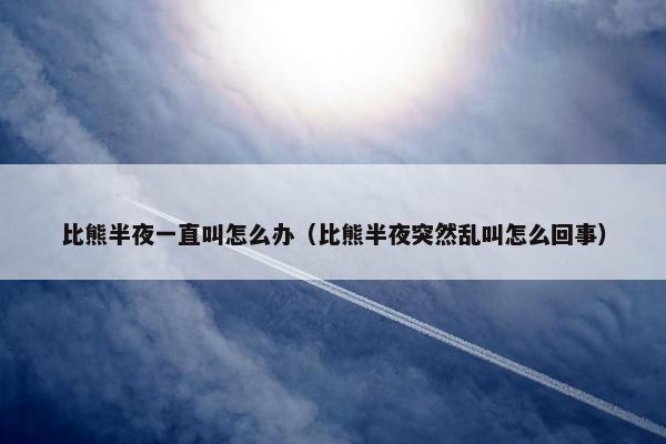 比熊半夜一直叫怎么办（比熊半夜突然乱叫怎么回事）