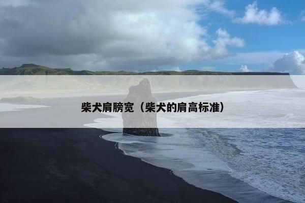 柴犬肩膀宽（柴犬的肩高标准）