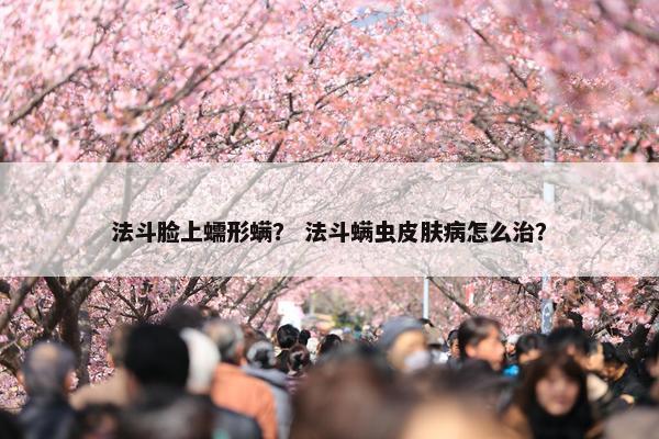 法斗脸上蠕形螨？ 法斗螨虫皮肤病怎么治？