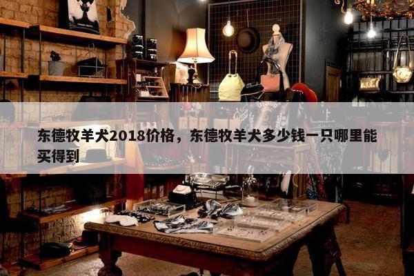 东德牧羊犬2018价格，东德牧羊犬多少钱一只哪里能买得到