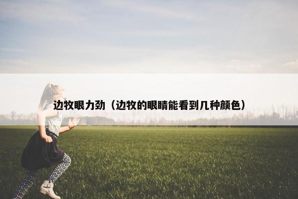 边牧眼力劲（边牧的眼睛能看到几种颜色）
