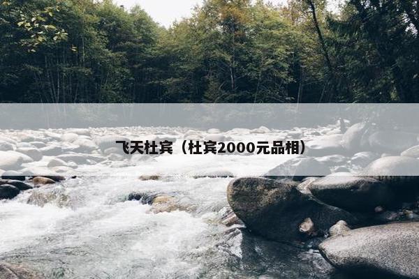 飞天杜宾（杜宾2000元品相）
