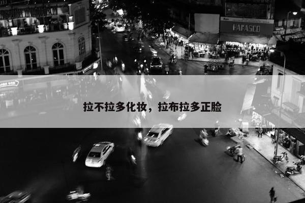 拉不拉多化妆，拉布拉多正脸