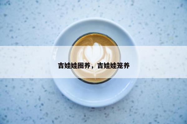 吉娃娃圈养，吉娃娃笼养