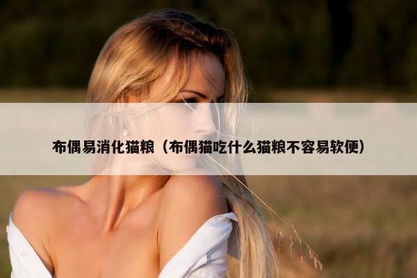 布偶易消化猫粮（布偶猫吃什么猫粮不容易软便）