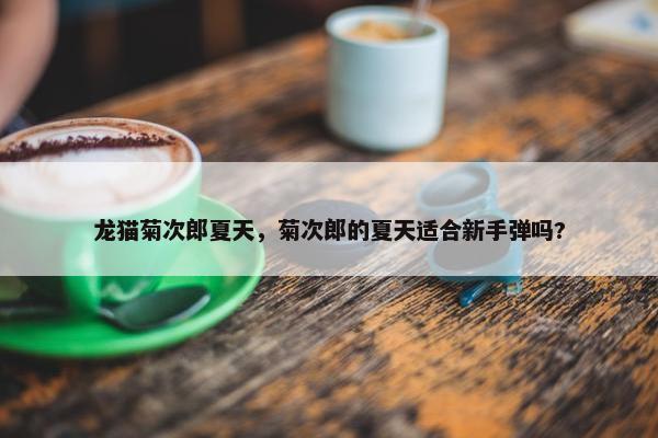 龙猫菊次郎夏天，菊次郎的夏天适合新手弹吗?