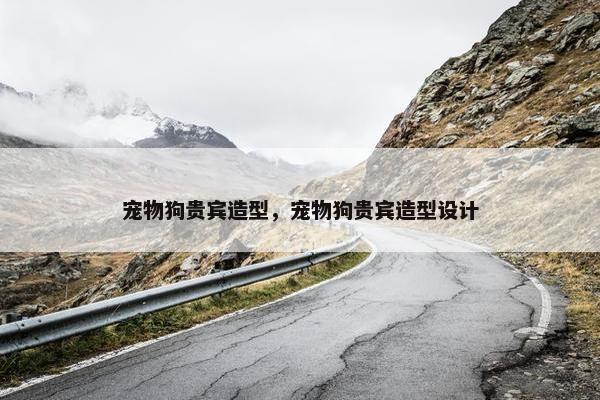 宠物狗贵宾造型，宠物狗贵宾造型设计