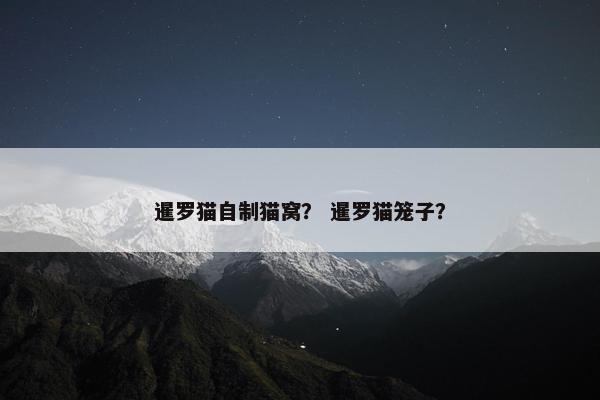 暹罗猫自制猫窝？ 暹罗猫笼子？