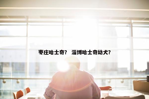 枣庄哈士奇？ 淄博哈士奇幼犬？