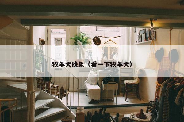 牧羊犬找象（看一下牧羊犬）
