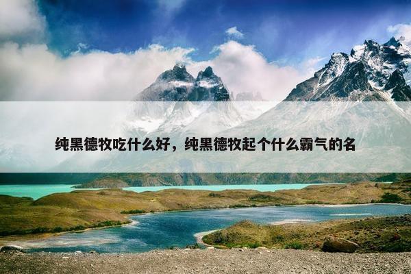 纯黑德牧吃什么好，纯黑德牧起个什么霸气的名
