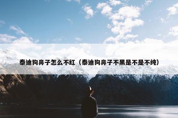 泰迪狗鼻子怎么不红（泰迪狗鼻子不黑是不是不纯）
