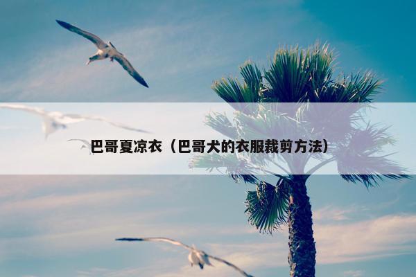 巴哥夏凉衣（巴哥犬的衣服裁剪方法）