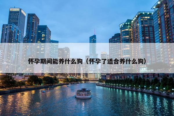 怀孕期间能养什么狗（怀孕了适合养什么狗）