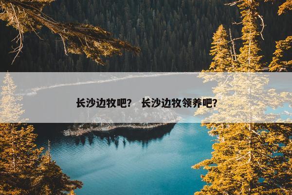 长沙边牧吧？ 长沙边牧领养吧？