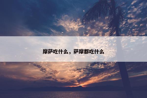 摩萨吃什么，萨摩都吃什么