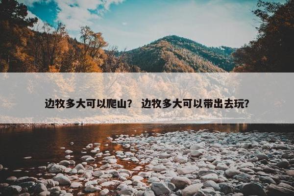 边牧多大可以爬山？ 边牧多大可以带出去玩？
