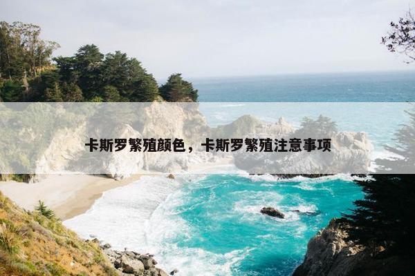 卡斯罗繁殖颜色，卡斯罗繁殖注意事项