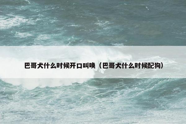 巴哥犬什么时候开口叫唤（巴哥犬什么时候配狗）