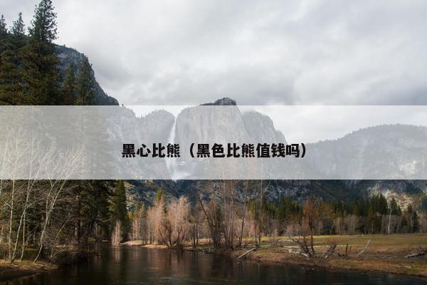 黑心比熊（黑色比熊值钱吗）