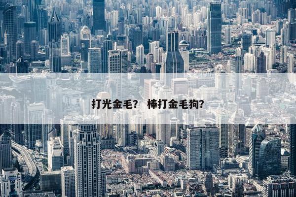 打光金毛？ 棒打金毛狗？