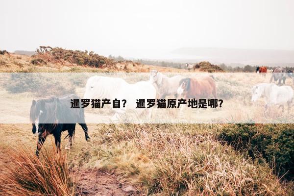 暹罗猫产自？ 暹罗猫原产地是哪？