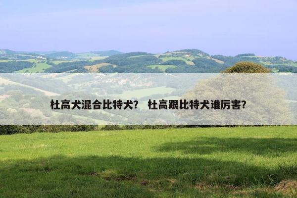 杜高犬混合比特犬？ 杜高跟比特犬谁厉害？