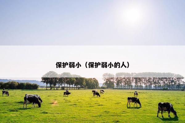 保护弱小（保护弱小的人）