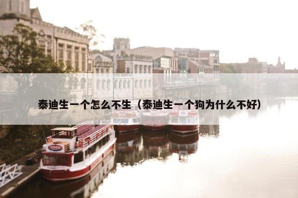 泰迪生一个怎么不生（泰迪生一个狗为什么不好）
