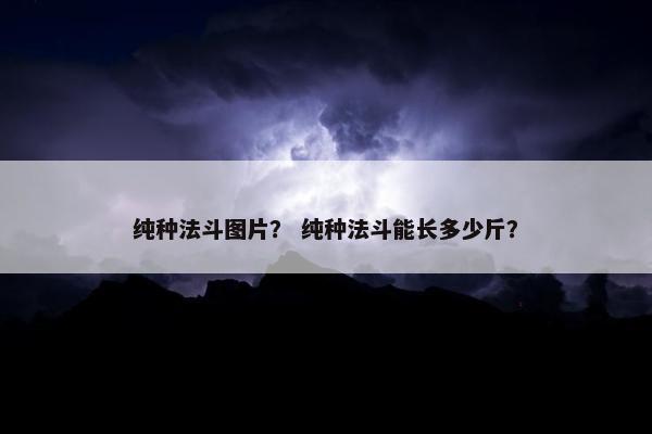 纯种法斗图片？ 纯种法斗能长多少斤？