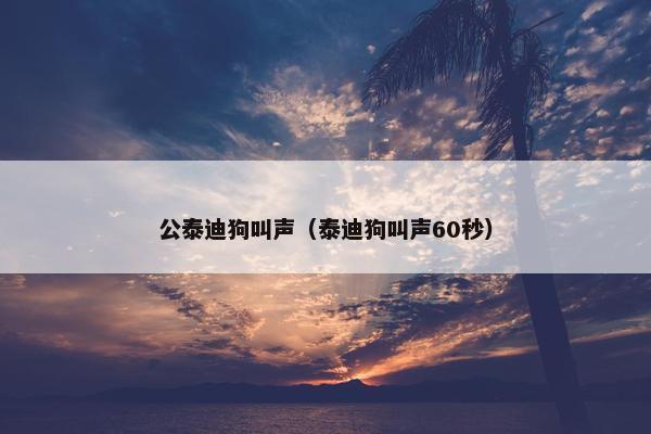 公泰迪狗叫声（泰迪狗叫声60秒）